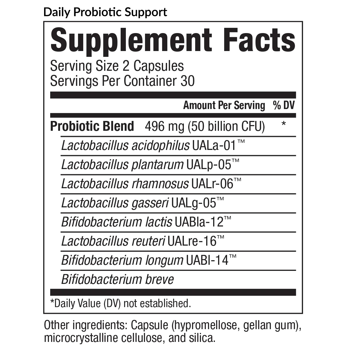 Daily Probiotic Support